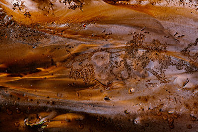 Colored mud river, close view