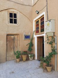 Potted plants outside house