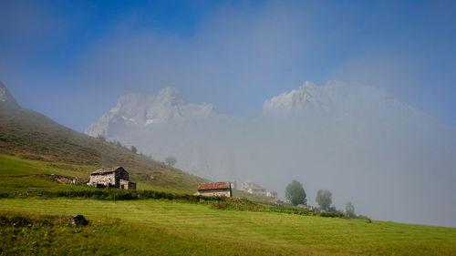 Scenic view of agricultural field against sky