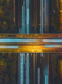 Light trails on road by trees at night