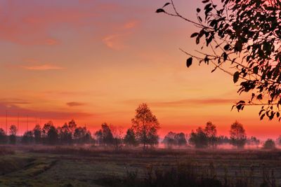 Silhouette trees on field against romantic sky at sunset