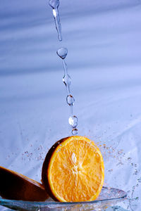 Close-up of water drops on orange