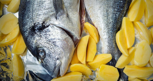 Close-up of fish for sale at market