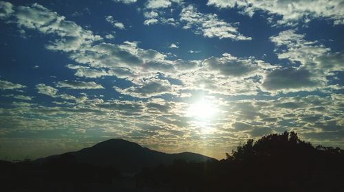 Low angle view of silhouette trees against sky