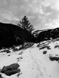 snow
