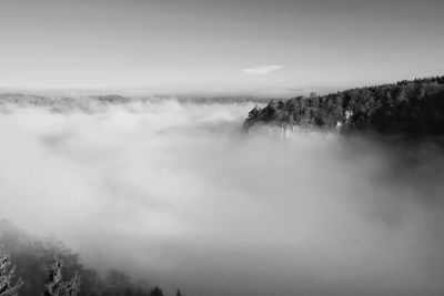 Scenic view of trees on landscape against sky