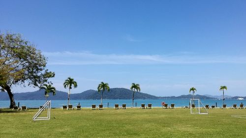 Scenic view of beach against blue sky