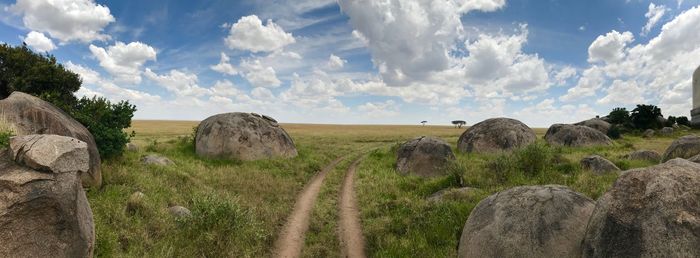 Panoramic shot of agricultural field against sky