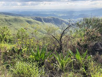 Scenic view of landscape against sky