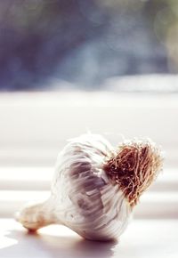 Close-up of bread on table