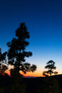 Low angle view of silhouette trees on field against clear sky