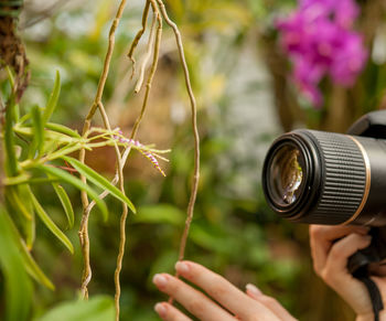 Close-up of person photographing camera