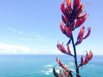 Close-up of sea against sky