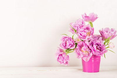 Close-up of pink flower vase against white background