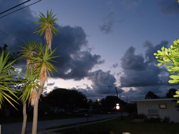 Palm trees against cloudy sky