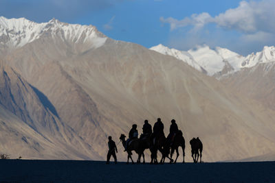 Group of people riding camels on mountain