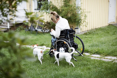 Young disabled woman in wheelchair with dogs in yard