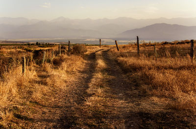 Scenic view of field against sky during sunset