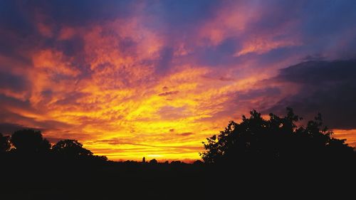 Silhouette trees against orange sky