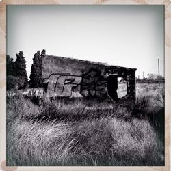 Abandoned house on grassy field