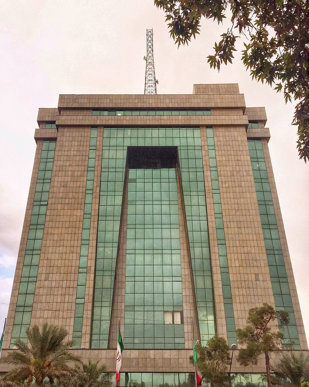 architecture, built structure, building exterior, low angle view, building, tree, sky, city, window, day, outdoors, no people, clear sky, residential building, tall - high, exterior, residential structure, modern, office building, growth