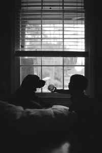 Silhouette baby with dog sitting by window at home