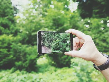 Cropped image of hand holding camera