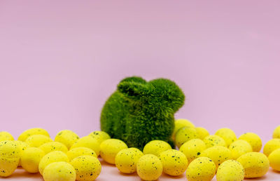 Close-up of fruits against white background