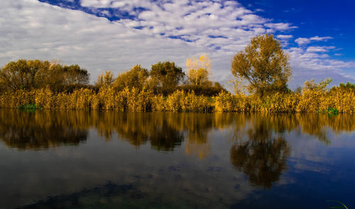 Scenic view of lake by trees against sky