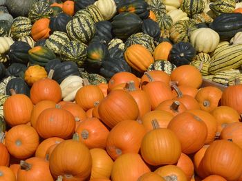 Full frame shot of pumpkins