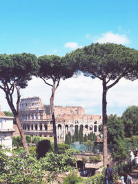 Trees and buildings against sky