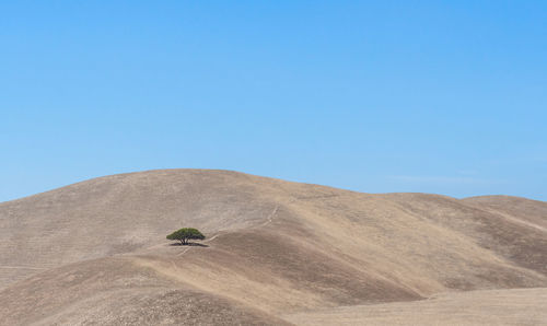 Scenic view of desert against clear blue sky