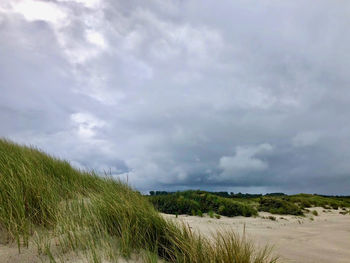 Scenic view of beach against sky