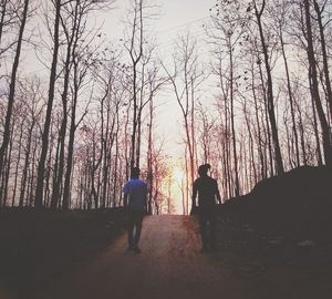 Rear view of people walking in forest