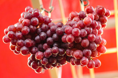 Close-up of grapes