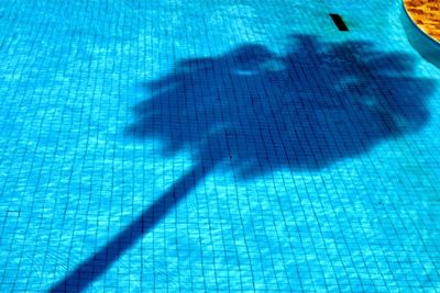 High angle view of shadow on swimming pool