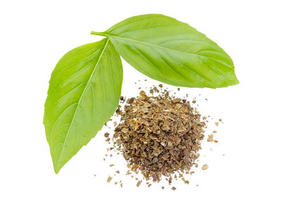 High angle view of leaves on white background
