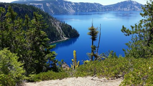 Idyllic shot of crater lake national park