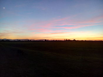 Scenic view of field against sky during sunset