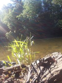 Scenic view of lake on sunny day