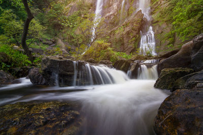 Scenic view of waterfall in forest