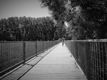 View of footbridge amidst trees against clear sky