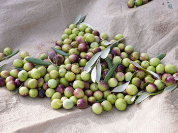 High angle view of fruits