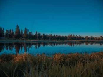 Scenic view of lake against clear blue sky