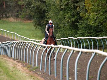 Man riding horse