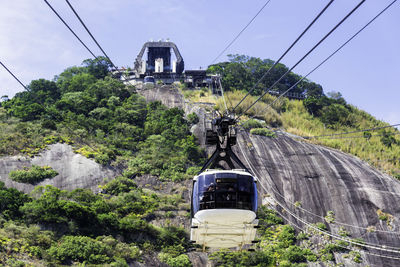 Overhead cable car amidst plants against sky