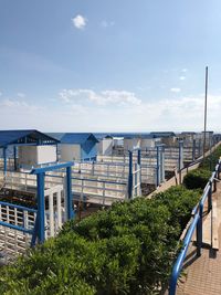 Buildings against blue sky