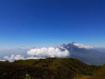 Scenic view of landscape against blue sky