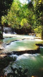 Scenic view of waterfall in forest