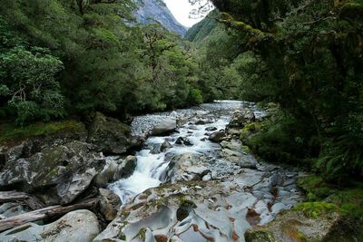 Scenic view of river flowing through rocks